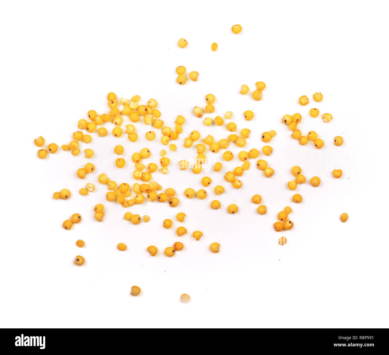 Millet isolé sur fond blanc. Vue d'en haut Banque D'Images