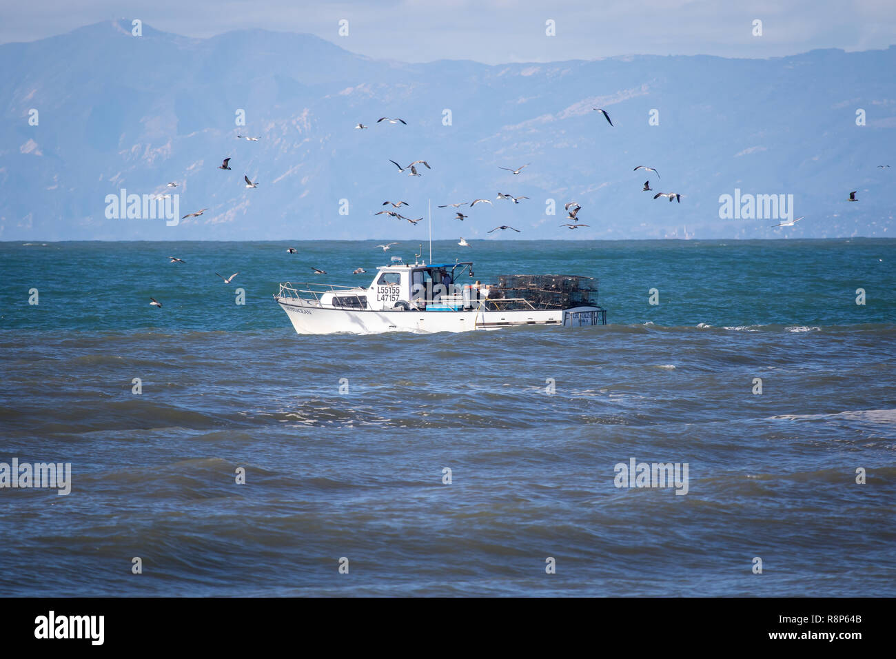 Bateau de pêche hors de Ventura, Californie, USA Banque D'Images