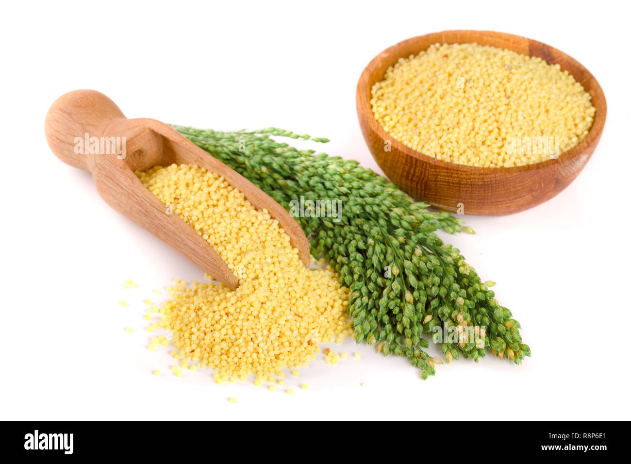 Millet dans scoop en bois et bol d'épillets vert isolé sur fond blanc Banque D'Images