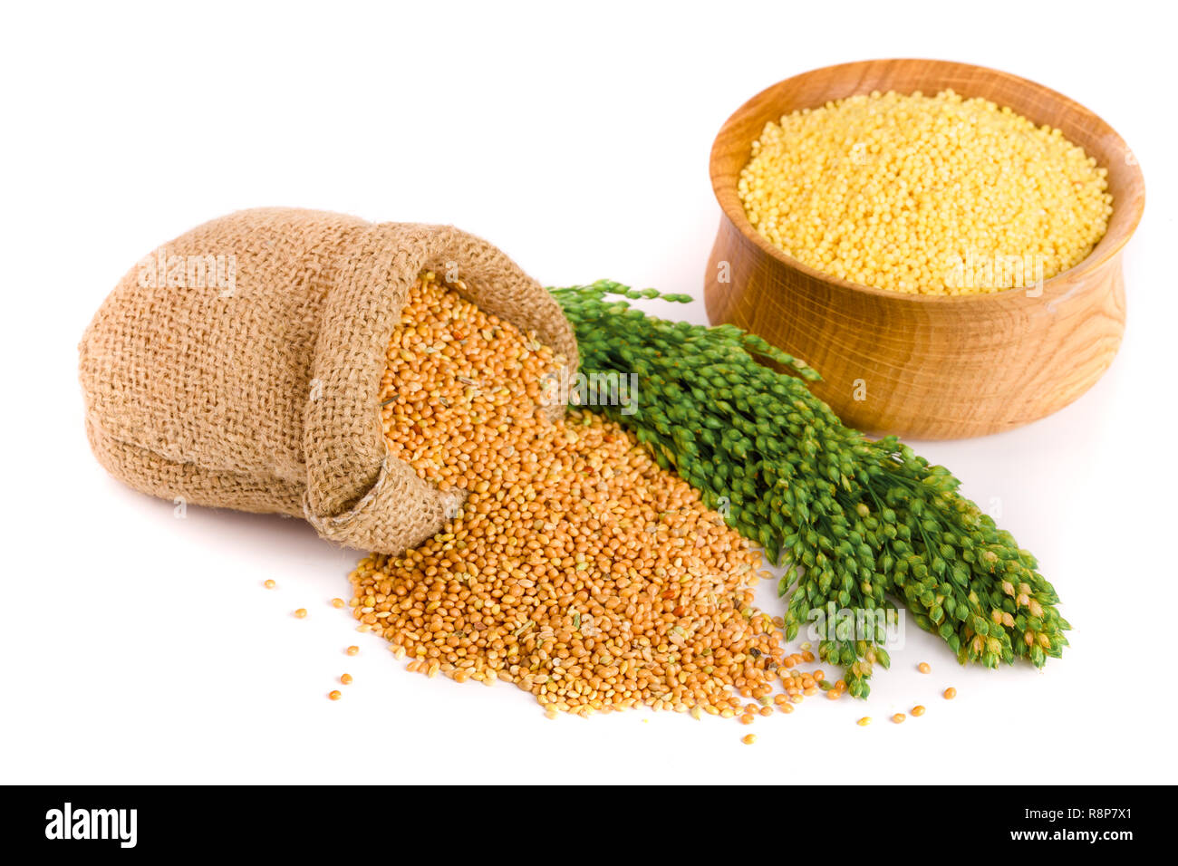 Millet dans un bol en bois, sac de toile et d'épillets vert isolé sur fond blanc Banque D'Images