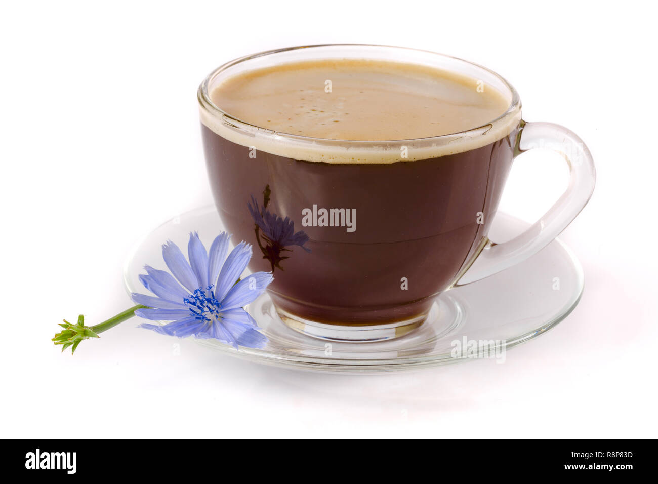 Tasse de chicorée chicorée et flower isolated on white background Banque D'Images