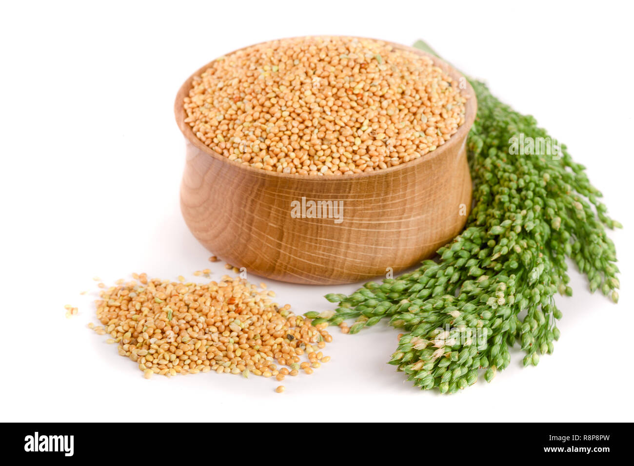 Millet dans bol en bois avec des épillets vert isolé sur fond blanc. Nourriture pour perroquets Banque D'Images