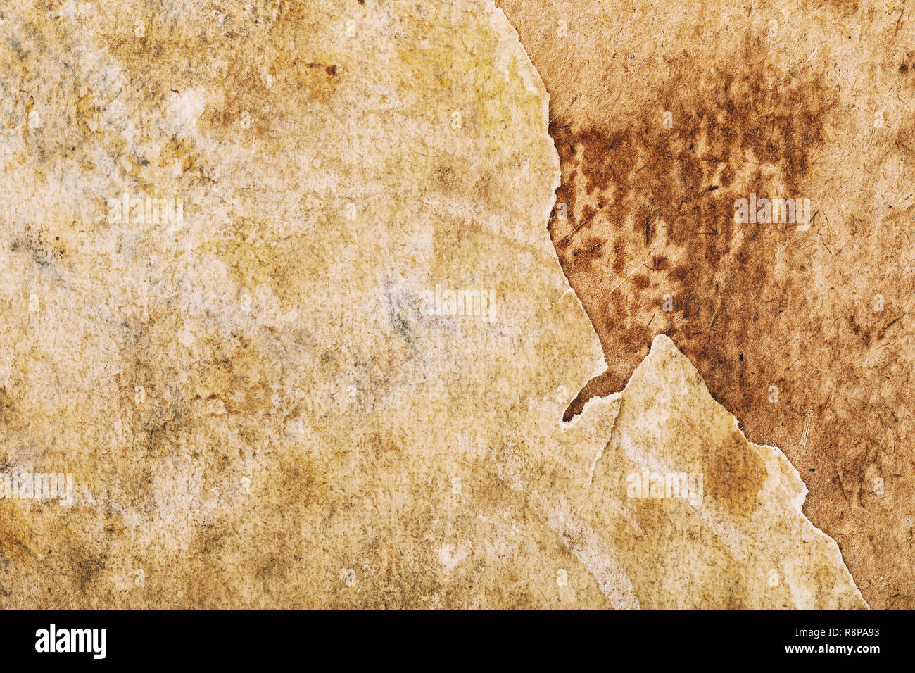 La texture d'un vieux livre minable page avec un bord déchiqueté close-up Banque D'Images