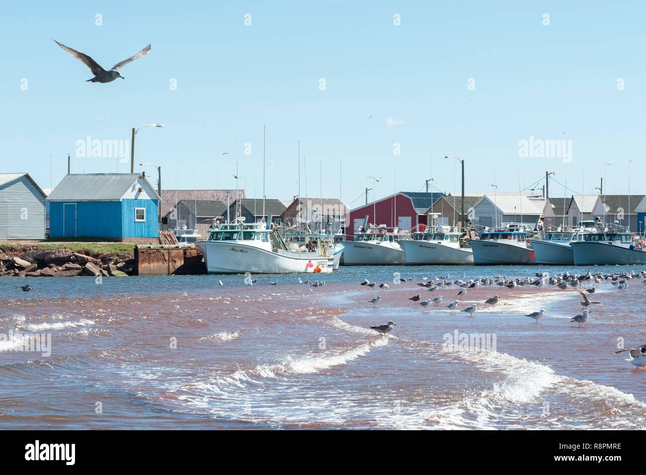 Canada, Province of Prince Edward Island, port, bateaux de pêche Banque D'Images