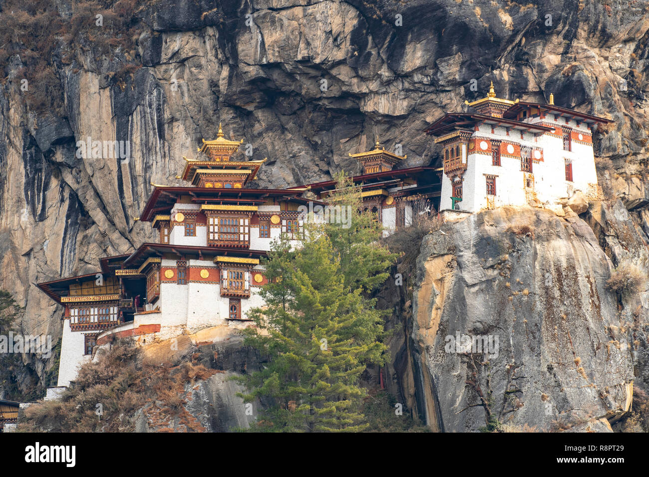 Taktsang Lhakhang, Tiger's Nest, Paro, Bhoutan Banque D'Images