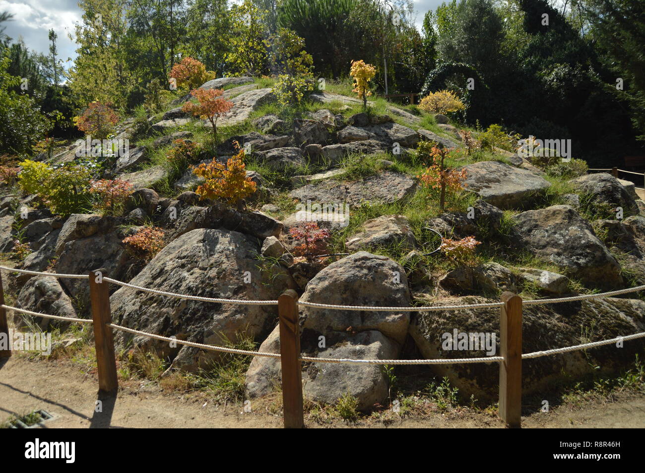 Belle Montagne pleine d'une grande variété de Bonsai recréé dans la sculpture. 14 novembre, 2018. Madrid. L'Espagne. La nature, les voyages, les paysages, les Topi Banque D'Images