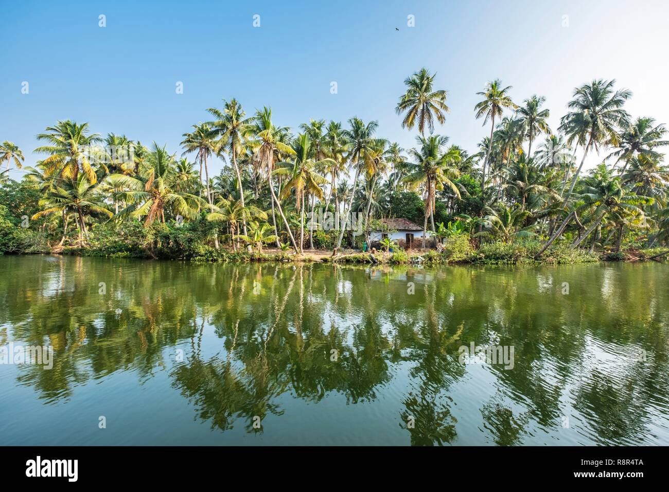 L'Inde, Etat du Kerala, district de Kollam, Munroe island ou Munroturuttu, Inland Island au confluent de la Rivière du lac Ashtamudi et Kallada, backwaters (lagunes et canaux réseaux) Banque D'Images