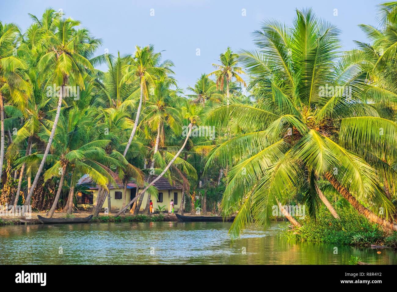 L'Inde, Etat du Kerala, district de Kollam, Munroe island ou Munroturuttu, Inland Island au confluent de la Rivière du lac Ashtamudi et Kallada, backwaters (lagunes et canaux réseaux) Banque D'Images