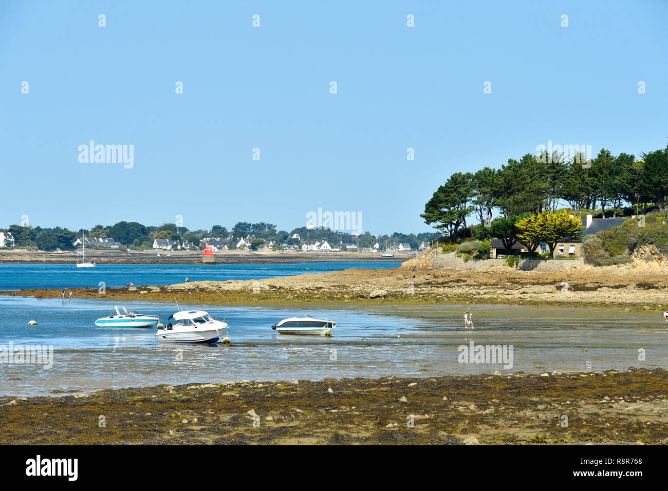 France, Morbihan, Golfe du Morbihan, Parc Naturel Régional du Golfe du  Morbihan, la baie de Quiberon, presqu'île de Rhuys, Arzon, Port-Navalo à  marée basse Photo Stock - Alamy