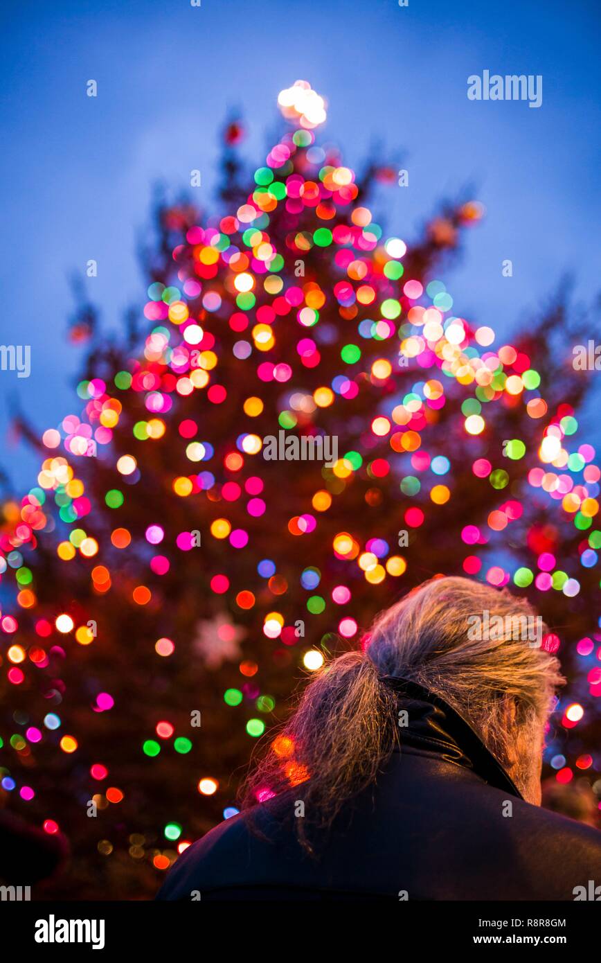 United States, New England, Cape Ann, Massachusetts, Annisquam, Lobster Cove, Arbre de Noël Banque D'Images