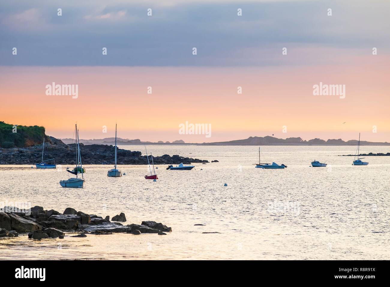 France, Côtes d'Armor Pleubian, sur le chemin de randonnée GR 34, Sillon de Talbert Réserve Naturelle Régionale Banque D'Images