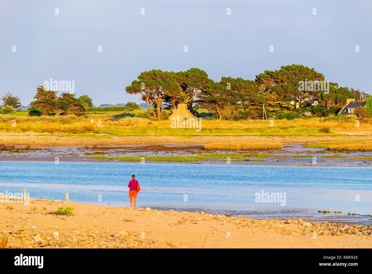 France, Côtes d'Armor Pleubian, sur le chemin de randonnée GR 34, Sillon de Talbert Réserve Naturelle Régionale Banque D'Images
