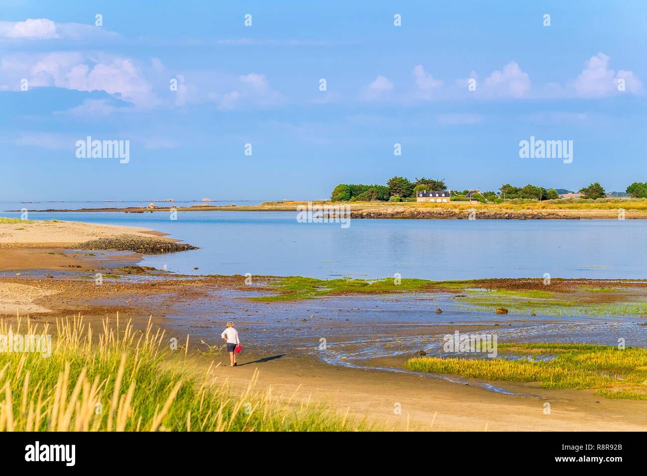 France, Côtes d'Armor Pleubian, sur le chemin de randonnée GR 34, Sillon de Talbert Réserve Naturelle Régionale Banque D'Images