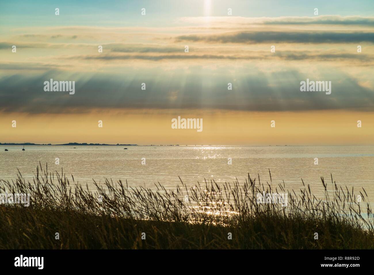 France, Côtes d'Armor Pleubian, sur le chemin de randonnée GR 34, Sillon de Talbert Réserve Naturelle Régionale Banque D'Images