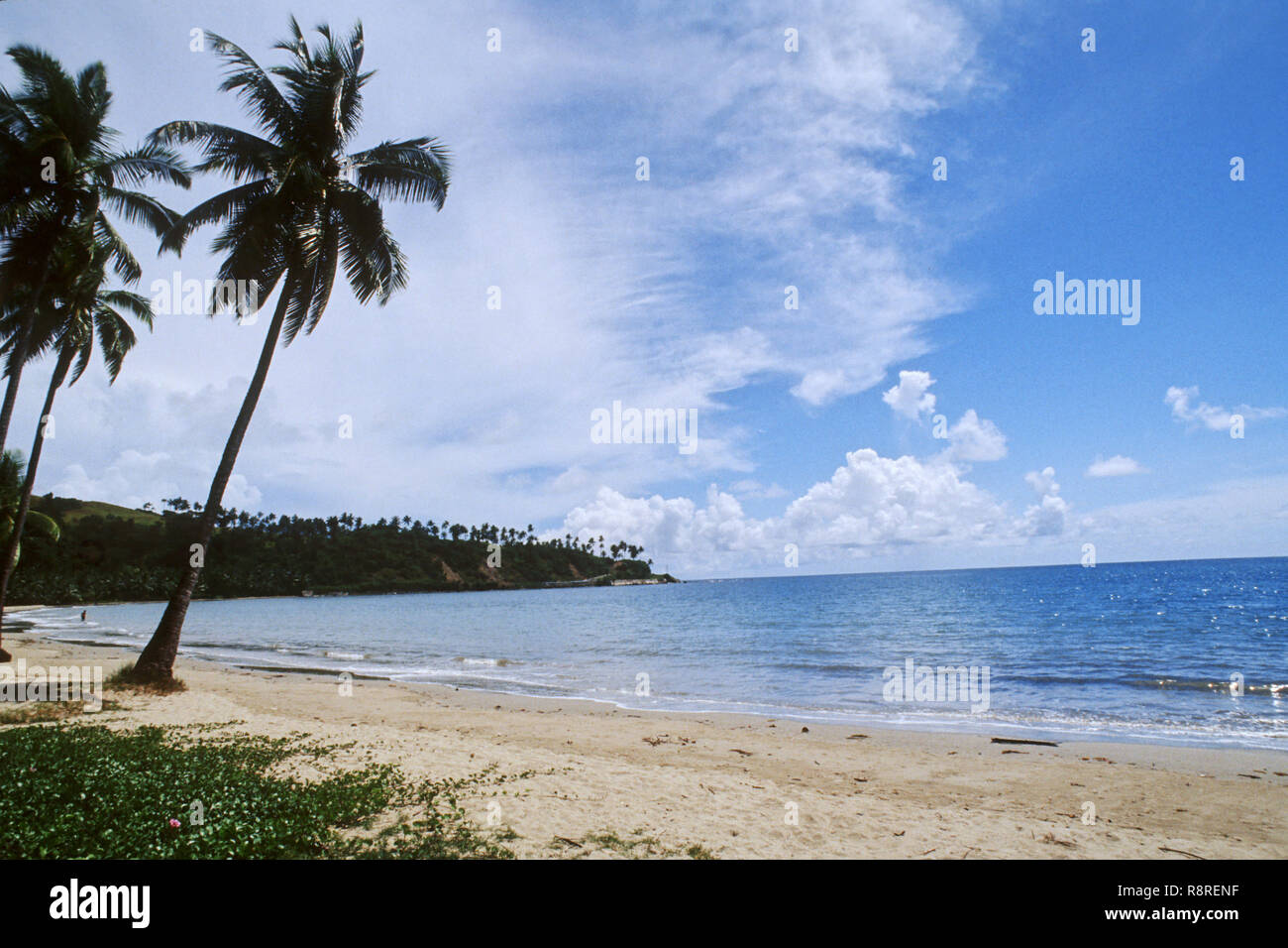 Corbyn's Cove Beach, Port Blair, Andaman Island, Inde Banque D'Images