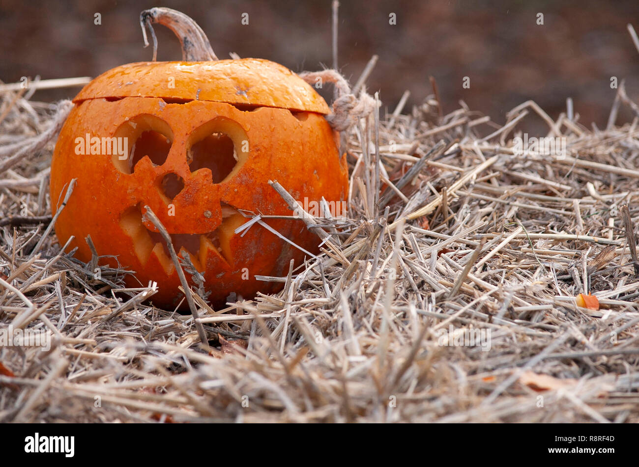 Tête de citrouille Halloween sur des bottes de paille Banque D'Images