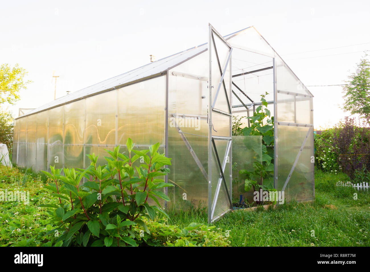 Serre en polycarbonate dans le jardin. Toit triangulaire. Banque D'Images