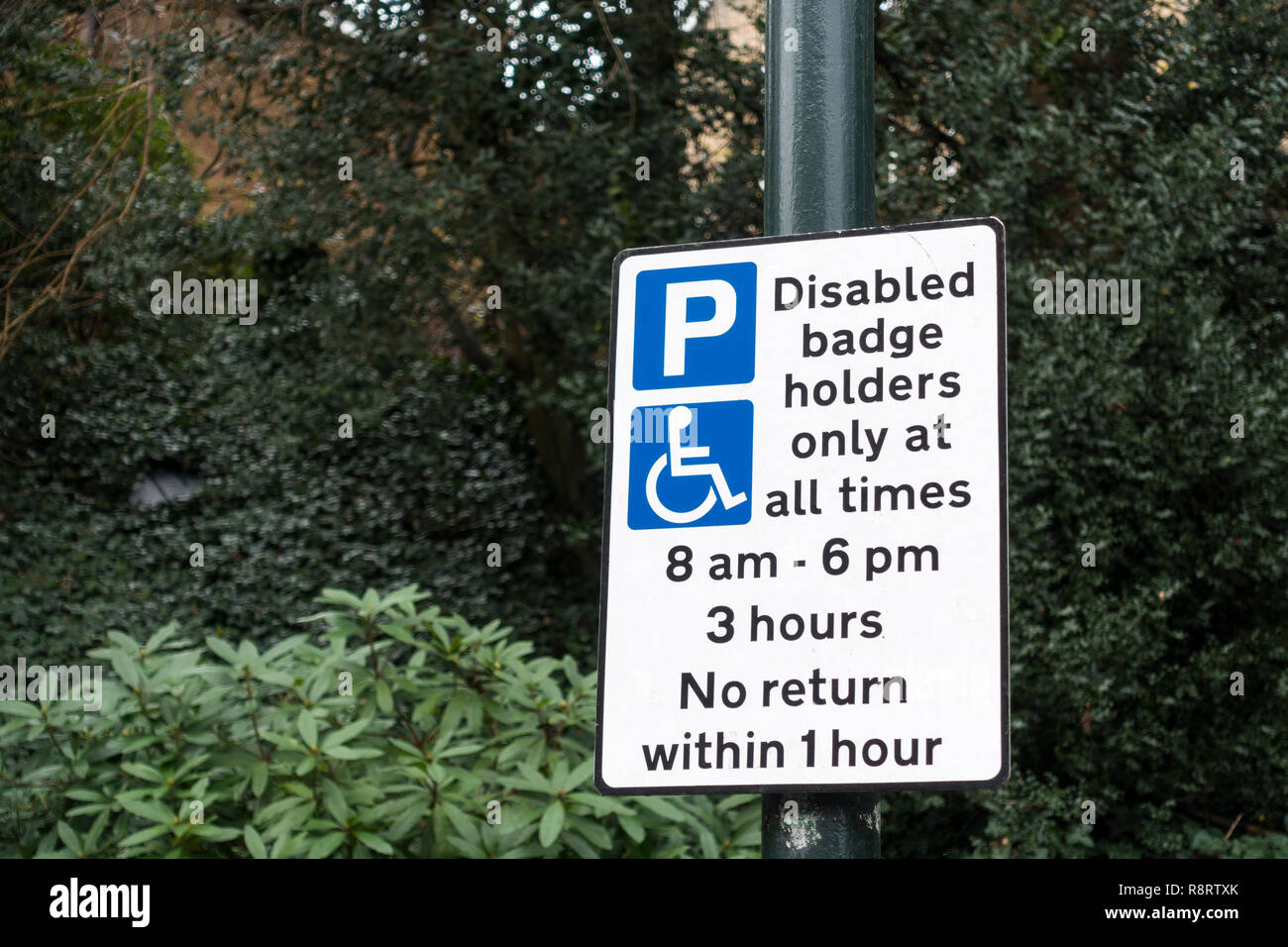 Panneau Parking avis informant les automobilistes que le parking est réservé aux détenteurs d'un insigne pour les personnes handicapées, UK Banque D'Images