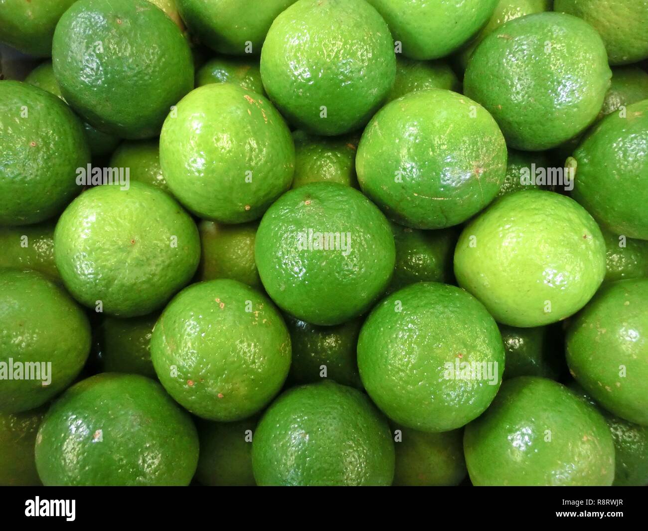 Lime (Citrus aurantifolia) Banque D'Images