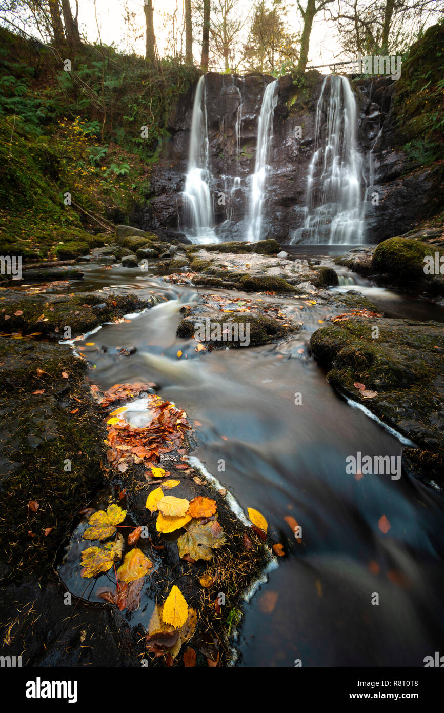 Chute d'eau à Glenariff Forest Park dans le comté d'Antrim Banque D'Images