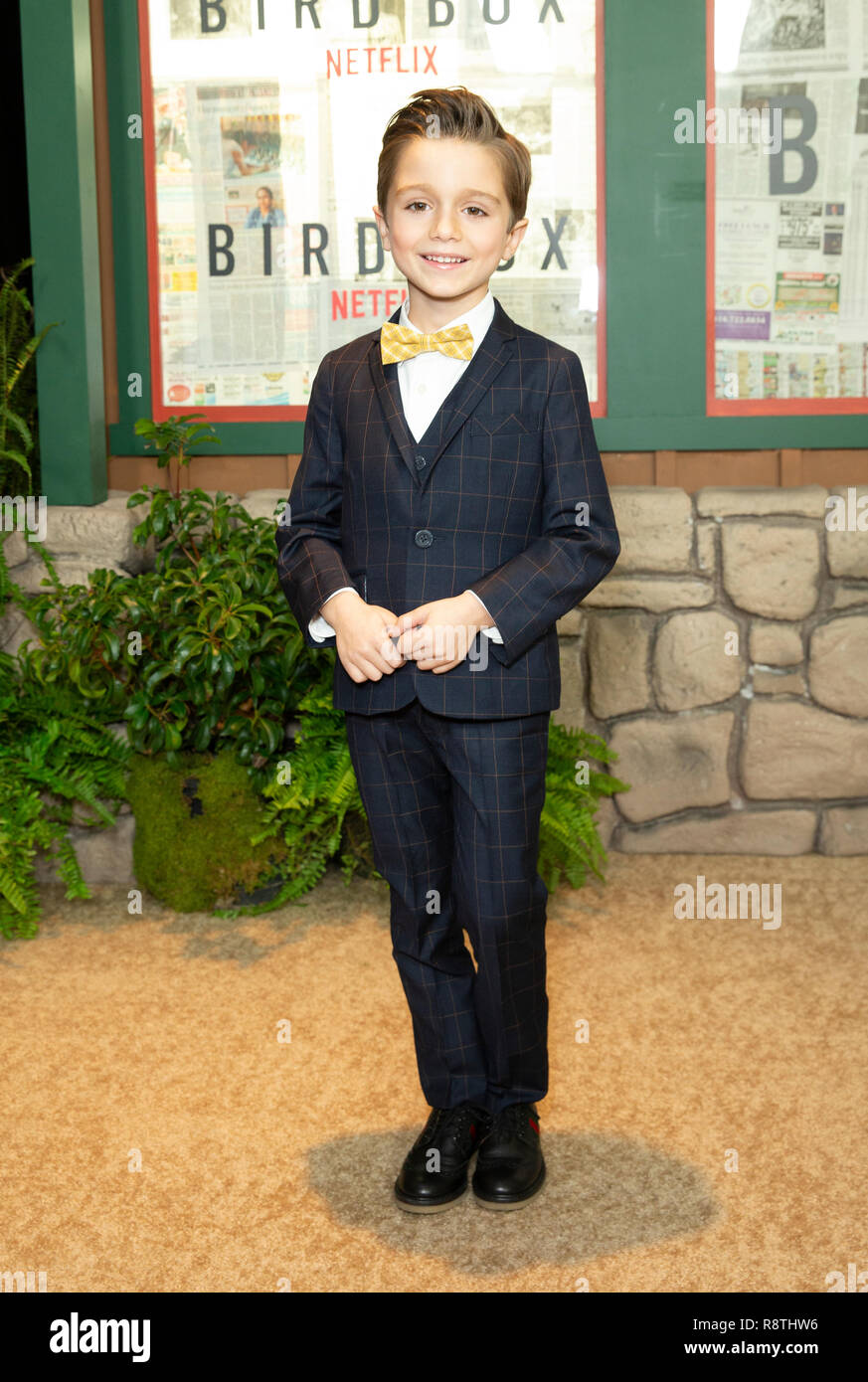 New York, États-Unis. 25Th Dec 2018. New York, NY - 17 décembre 2018 : Julian Edwards assiste à la projection de New York 'Bird Box' à l'Alice Tully Hall, Lincoln Center Crédit : lev radin/Alamy Live News Banque D'Images