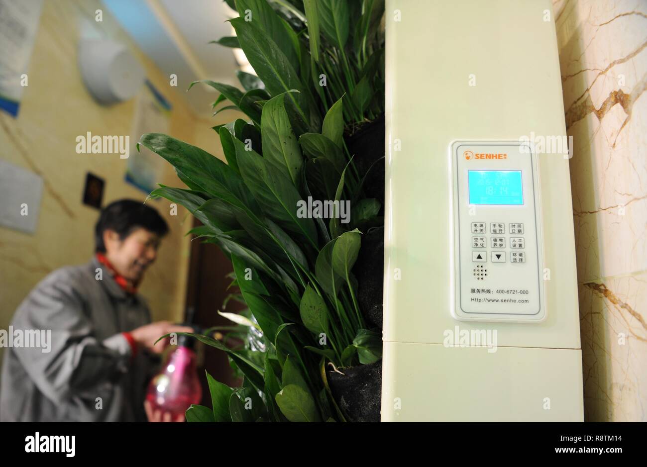 Beijing, Chine. Dec 18, 2018. Photo prise le 5 décembre 2017, montre les plantes utilisées pour la purification de l'air à une toilette publique à l'ouest de la tour du tambour de Xi'an, capitale de la Province chinoise de Shaanxi nord-ouest. La Chine prévoit de construire ou rénover environ 21 000 toilettes dans les destinations touristiques de l'année prochaine, a déclaré le ministère de la Culture et du tourisme. Le déménagement fait partie de la 'révolution' toilettes en cours dans l'industrie du tourisme de la Chine depuis 2015 que les offres pour fournir les touristes avec des toilettes propres et modernes. Selon le ministère, entre 2015 et 2017 La Chine a investi 1.) Crédit : Xinhua/Alamy Live News Banque D'Images