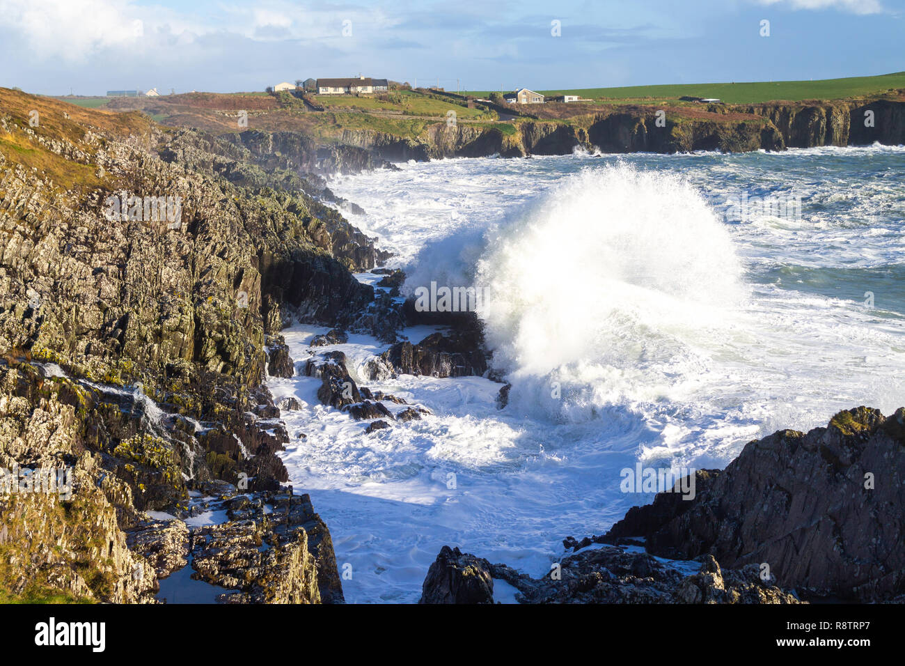 Sandy Cove, Castlehaven, West Cork, Irlande, le 18 décembre 2018. Encore une autre nuit de forts coups de vents du large dur énormes vagues jusqu'aux falaises vers la côte. Credit : aphperspective/Alamy Live News Banque D'Images
