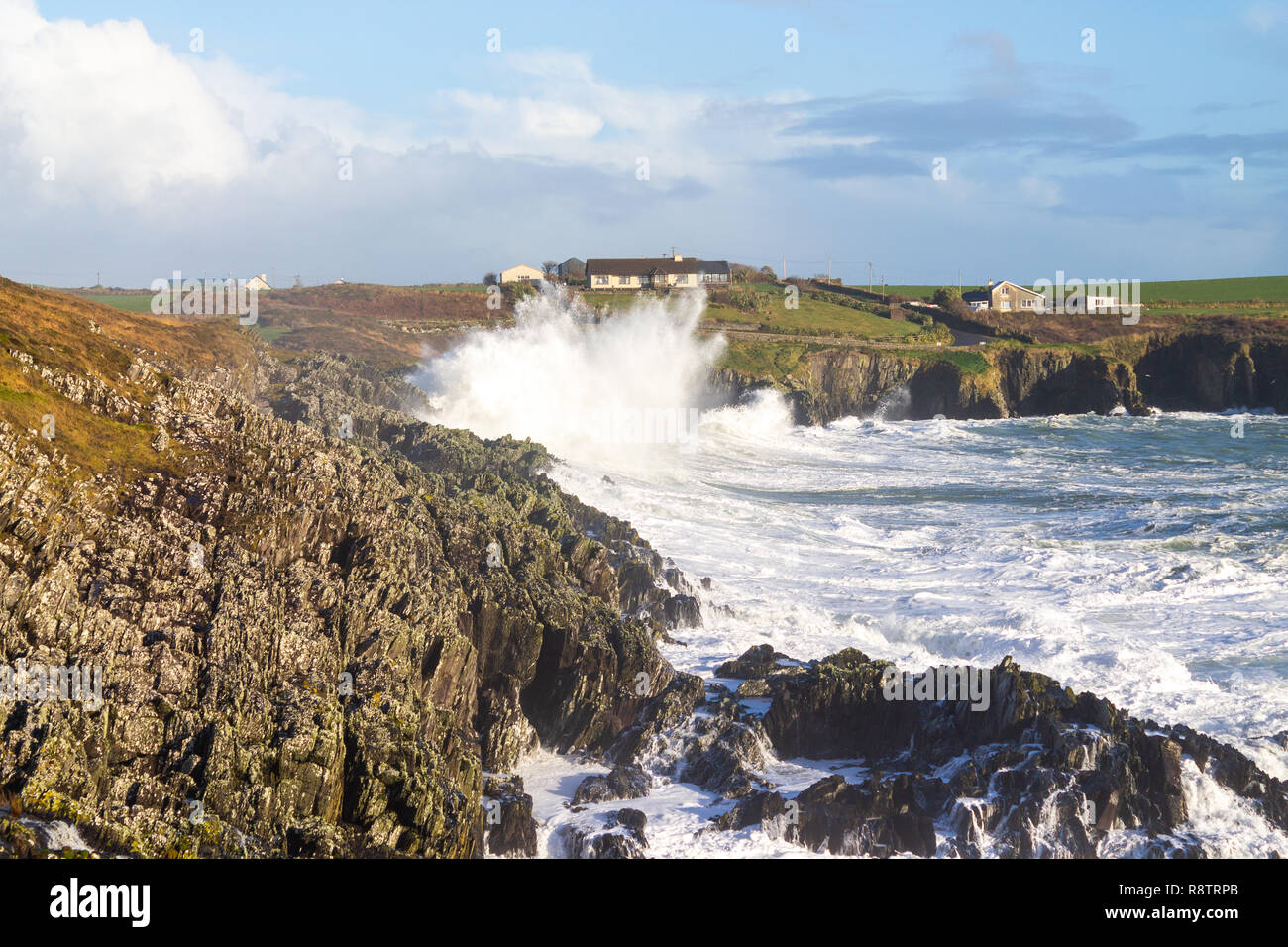 Sandy Cove, Castlehaven, West Cork, Irlande, le 18 décembre 2018. Encore une autre nuit de forts coups de vents du large dur énormes vagues jusqu'aux falaises vers la côte. Credit : aphperspective/Alamy Live News Banque D'Images