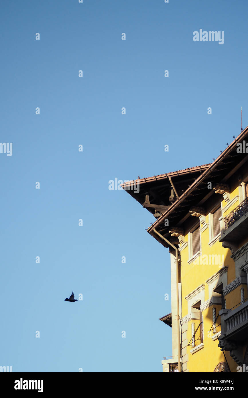 Bâtiment jaune avec ciel bleu et l'oiseau en vol, Rome, Italie Banque D'Images