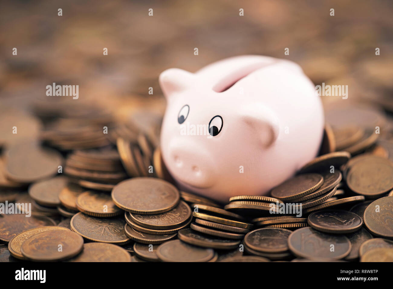 Pink piggy bank on coins Banque D'Images