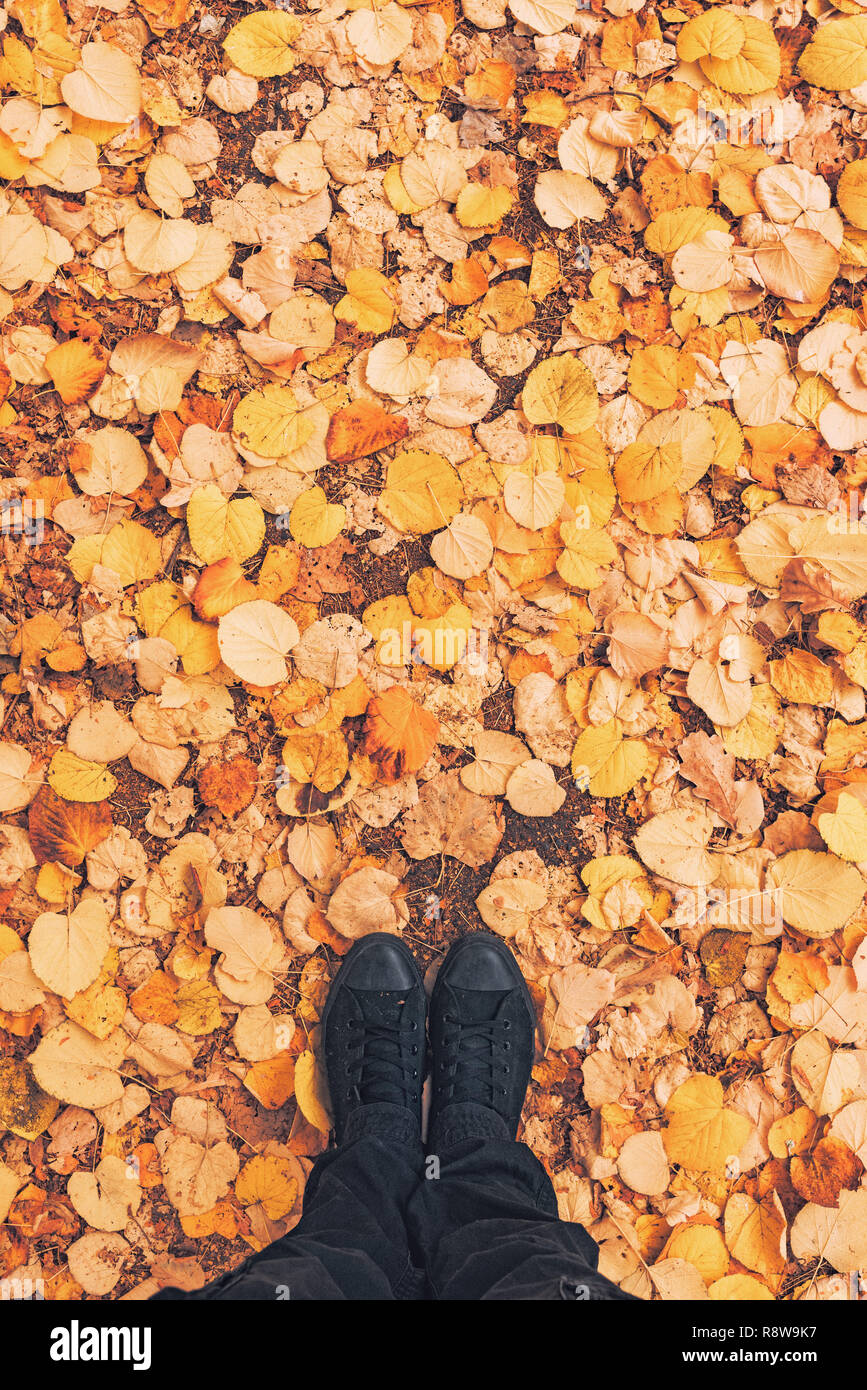 Homme debout dans le parc sur les tas de feuilles d'automne, vue de dessus de pieds d'hommes en noir sneakers Banque D'Images