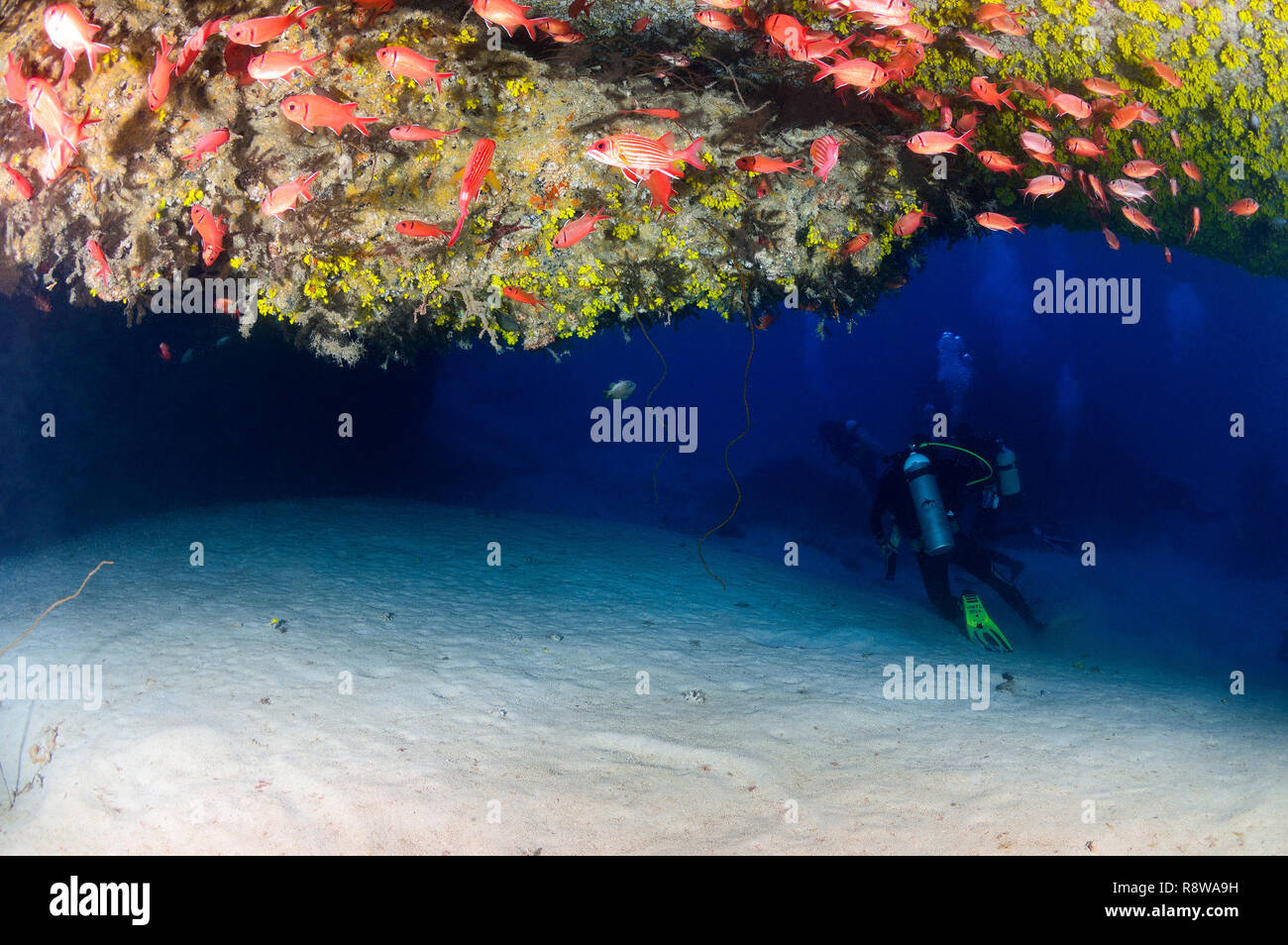 La plongée en cavernes de Sal - Cabo Verde Banque D'Images