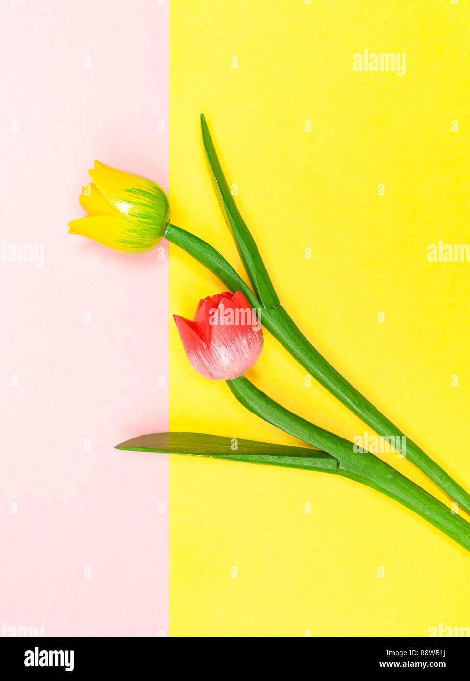 Tulipes bois contraste avec la couleur de fond. Télévision jeter la photographie. Banque D'Images