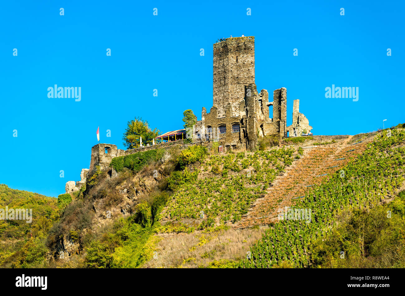 Vue sur Château Metternich à Cochem en Allemagne Banque D'Images