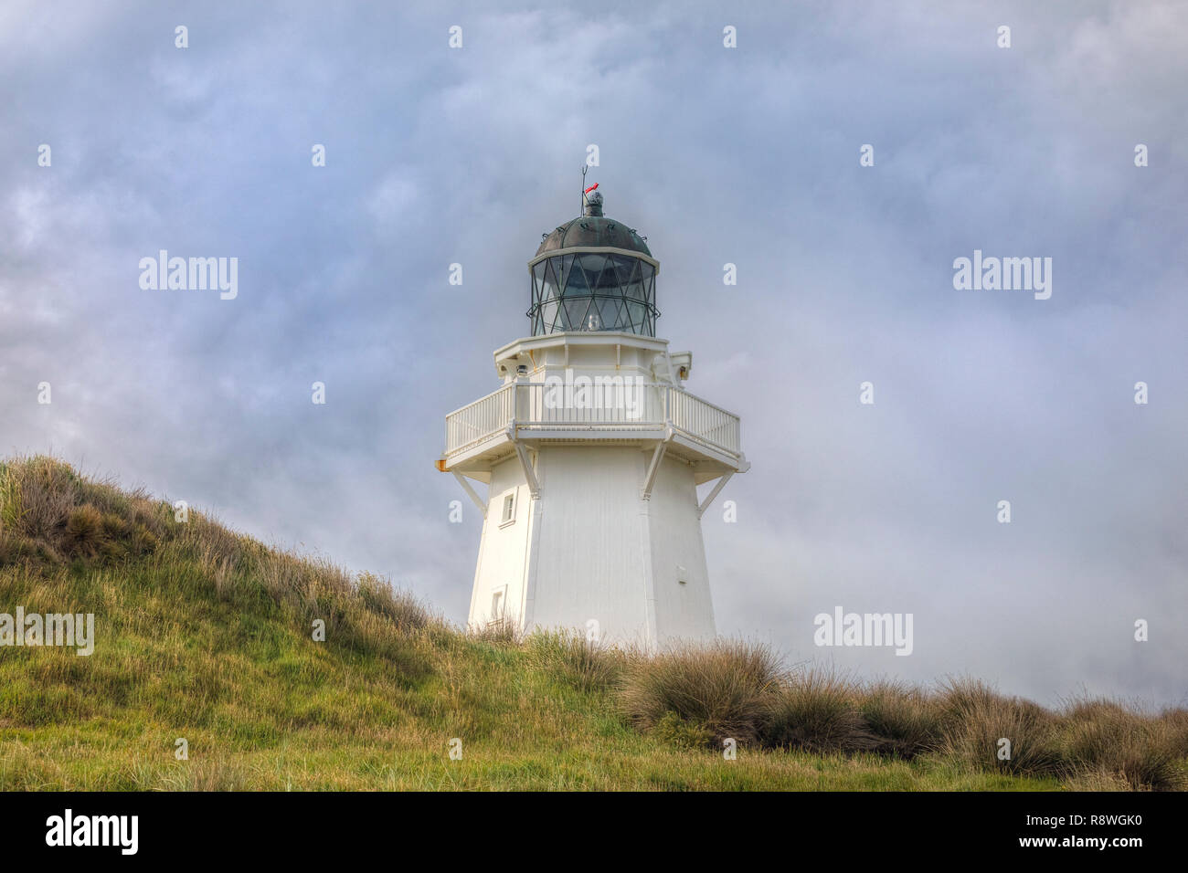 Waipapa Point, Southland, Les Catlins, île du Sud, Nouvelle-Zélande Banque D'Images