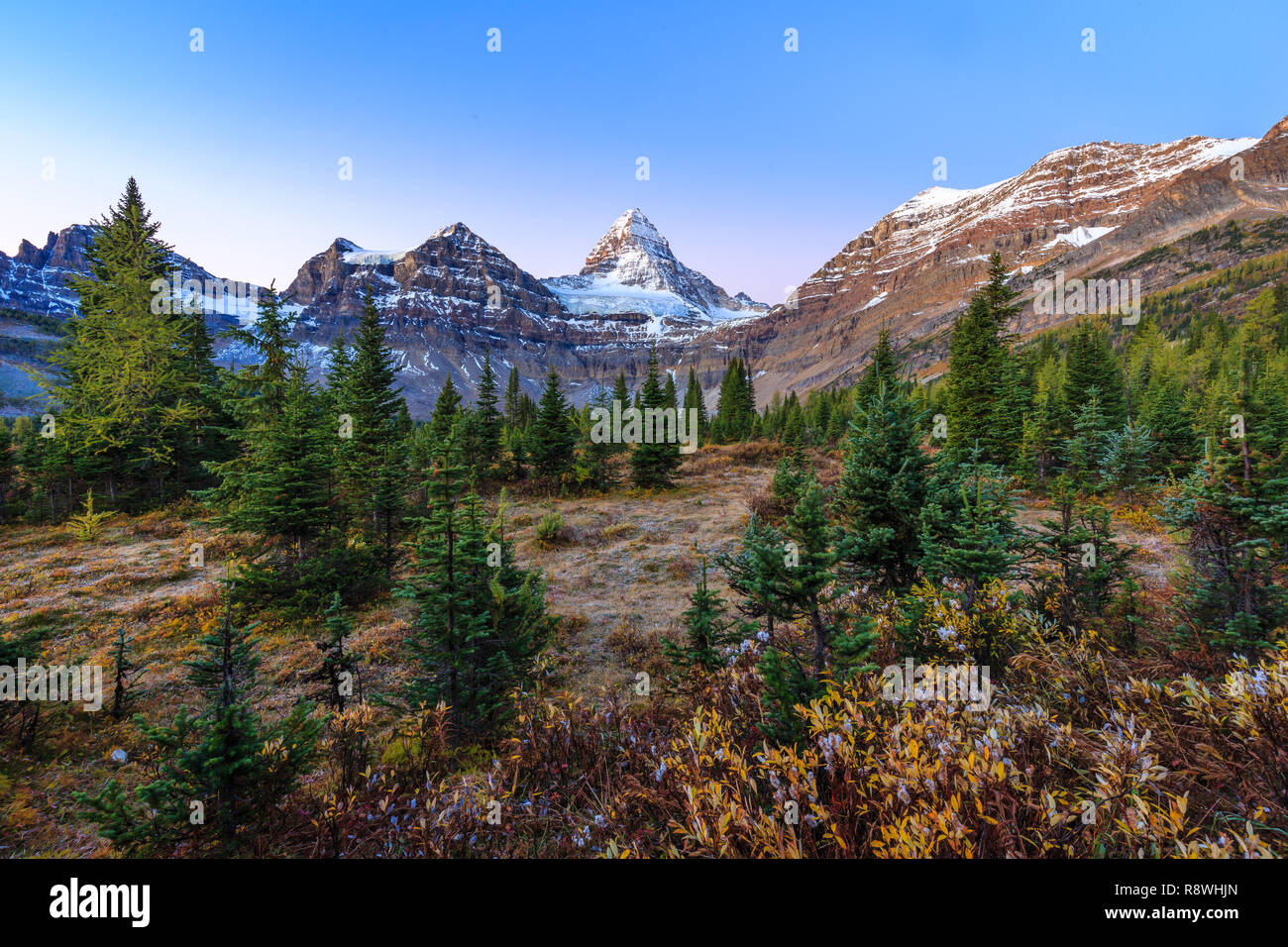 Mt Assiniboine Banque De Photographies Et Dimages à Haute Résolution 