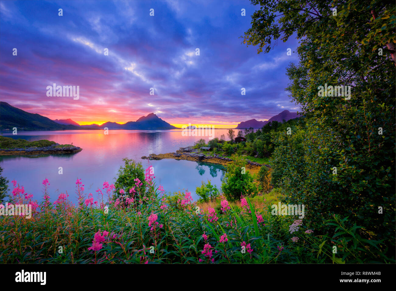 Lofoten, Norvège Banque D'Images