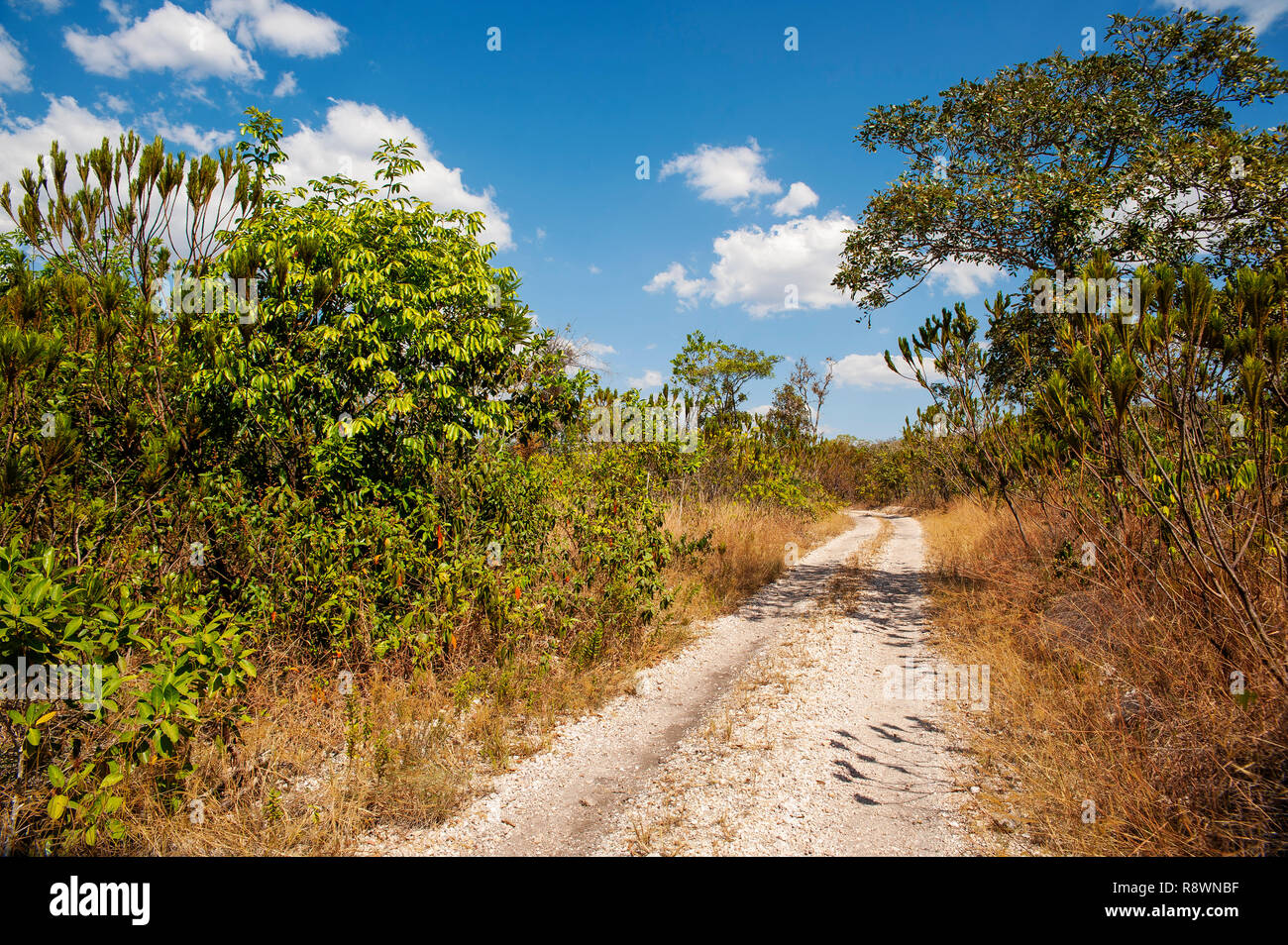 Route sale au Parc National Chapada dos Veadeiros, Goiás, Brésil Immobilier Banque D'Images