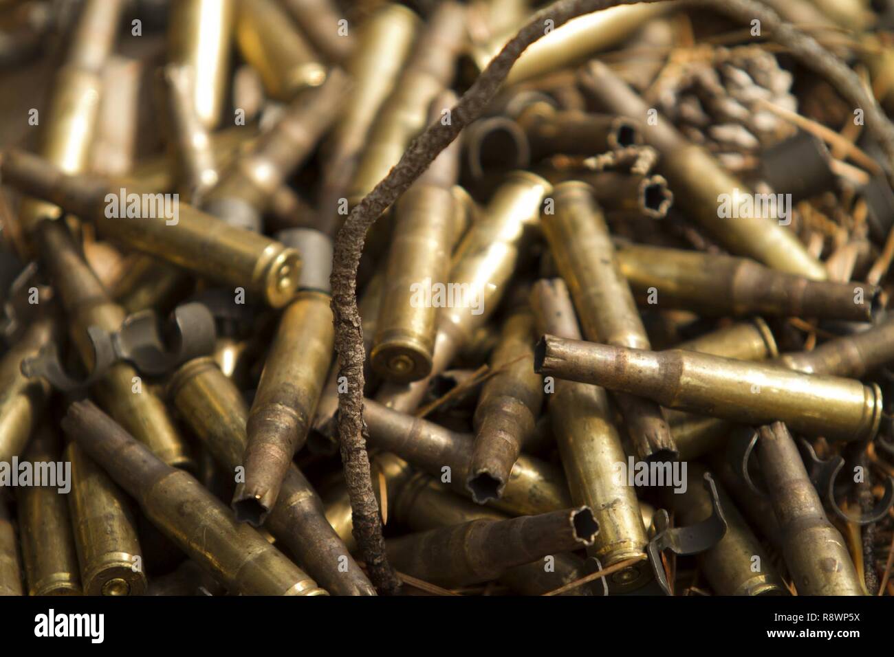 Boyaux de munitions dépensés aux États-Unis l'automne près d'un soldat de l'armée affectés à l'entreprise facile, 2e Bataillon, 506e Parachute Infantry Regiment, 101st Airborne Division (Air Assault) comme il tire la M240B Machine Gun à Lakehurst Maxfield terrain au cours d'une saisie de l'aérodrome de multi-composants d'entraînement entre la Réserve de l'armée et de la 101st Airborne Division (Air Assault) le 13 mars 2017, pour donner le coup d'exercice guerrier 78-17-01. Plusieurs organisations, y compris la réserve de l'armée la réserve de l'Armée de la commande de l'Aviation, 84e, 78e Commandement de la formation de la Division de la formation, et des membres de la Police militaire 200e h Commande Banque D'Images