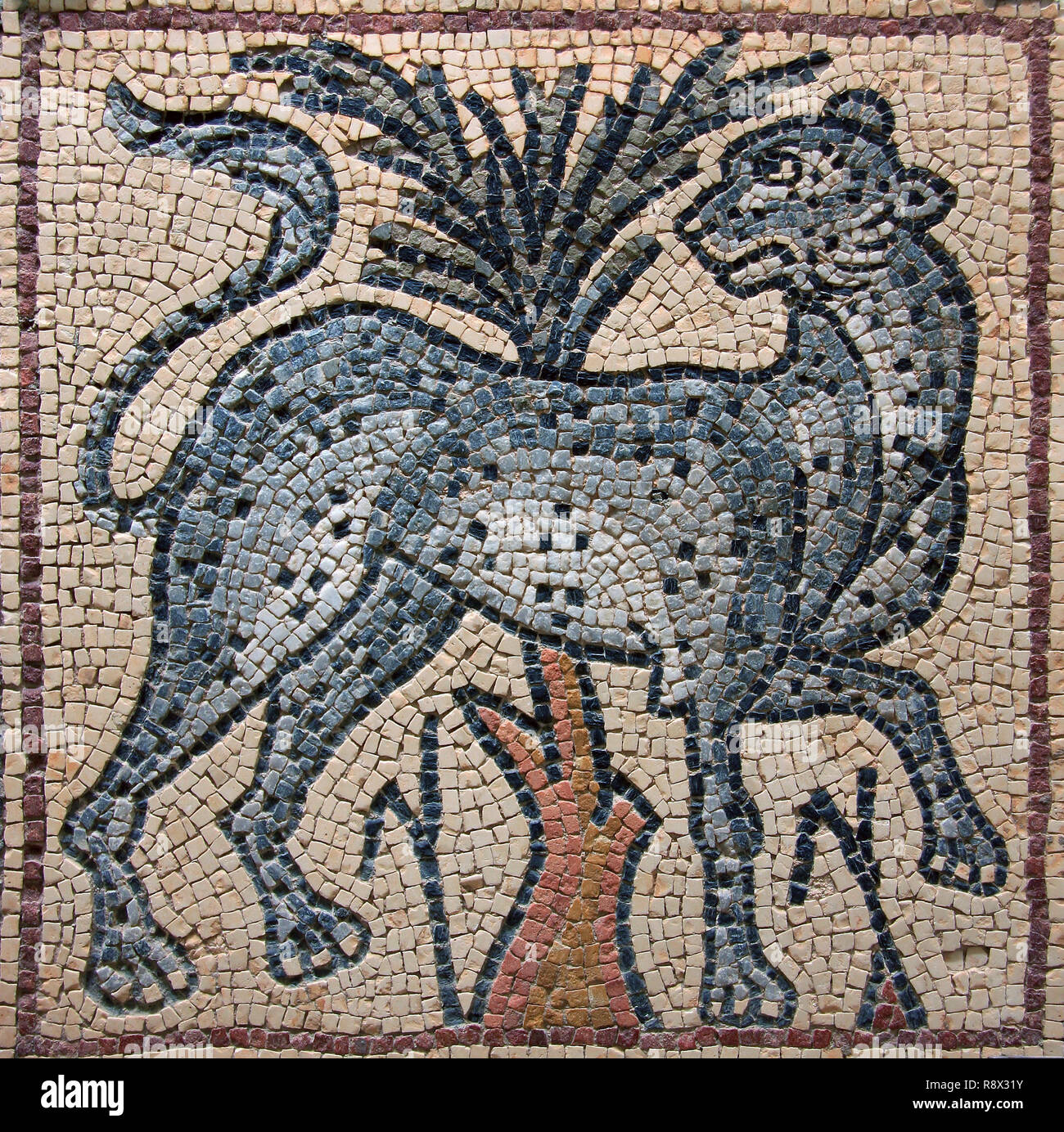 La Libye Cyrénaïque Antique Qsar bien préservé Mosaïque byzantine représentant un grand chat - guépard ou léopard. Banque D'Images