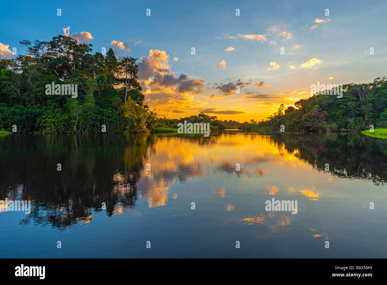 Réflexion d'un coucher du soleil dans le bassin de la forêt amazonienne. Les pays du Brésil, Bolivie, Colombie, Équateur, Pérou, Venezuela, Guyana et Suriname. Banque D'Images