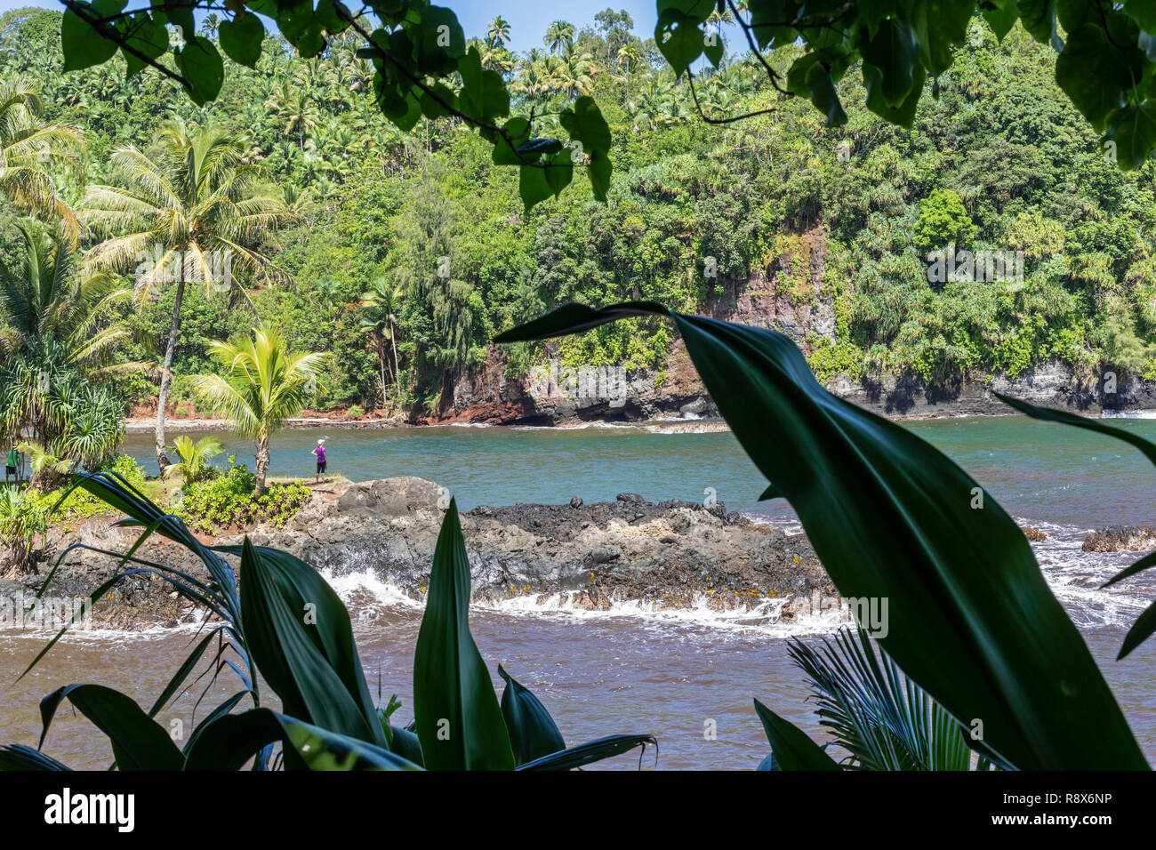 Papaikou, Hawaii - une femme sur le bord d'Onomea Bay sur la côte est de la Grande île. Banque D'Images