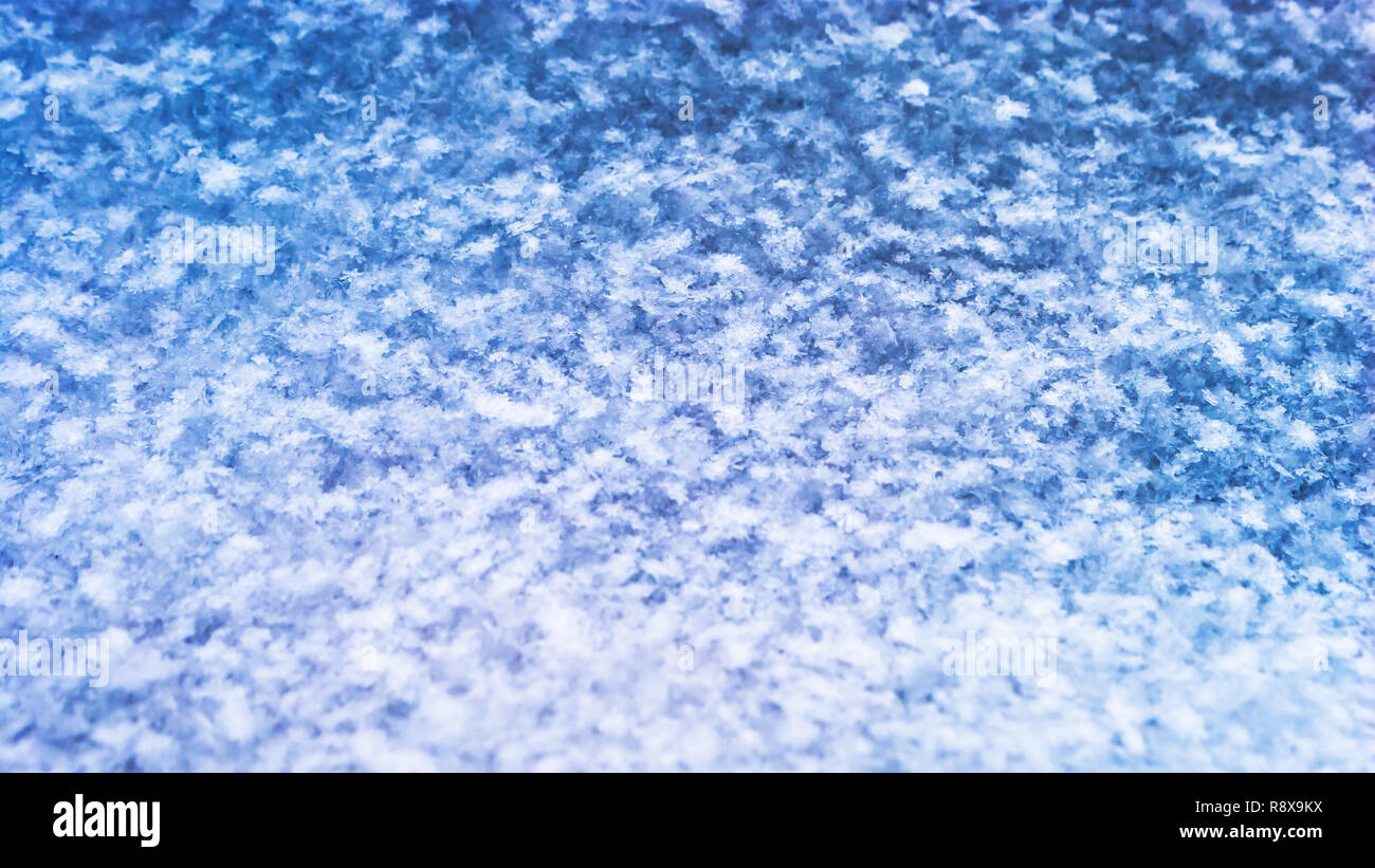 Neige fraîche Texture Background, flocons naturels Pattern avec copie Espace. Coloration ton bleu. Saison d'hiver, des prévisions météorologiques, le changement climatique, Greeti Banque D'Images