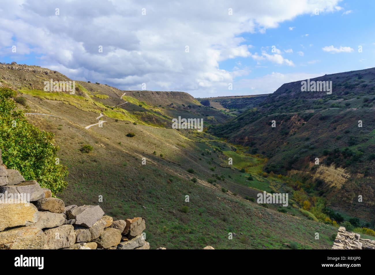 Vue de paysage (Daliyot stream) près de Gamla, Hauteurs du Golan, dans le Nord d'Israël Banque D'Images