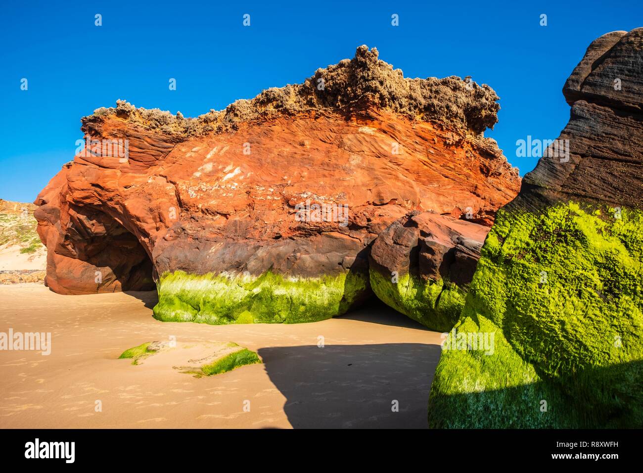 Le Portugal, l'Algarve, région au sud-ouest Alentejano et Costa Vicentina Parc Naturel, sur la Rota Vicentina Carrapateira sentier de randonnée, arche naturelle sur la plage Bordeira Banque D'Images