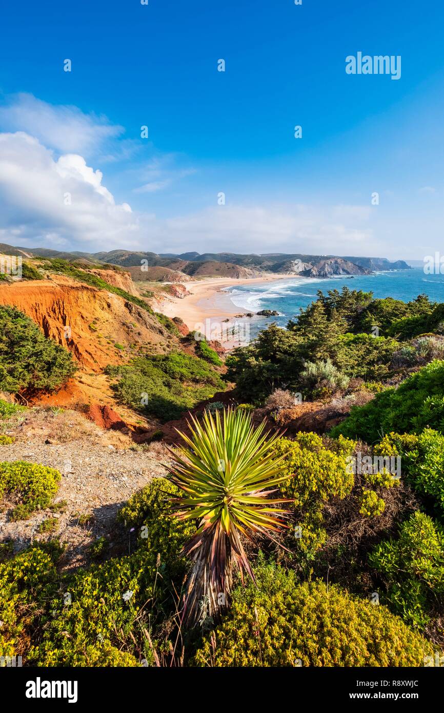 Le Portugal, l'Algarve, région au sud-ouest Alentejano et Costa Vicentina Parc Naturel, sur la Rota Vicentina Carrapateira sentier de randonnée, la boucle de Pontal da Carrapateira, Praia do Amado Banque D'Images