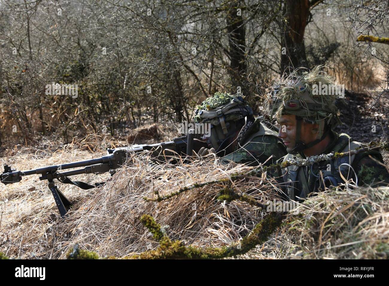 Les soldats canadiens de la Compagnie Charlie, 3e Bataillon, Princess Patricia's Canadian Light Infantry, assurer la sécurité lors d'un scénario, ils réagissent au contact lors de l'exercice Allied Esprit VI à l'instruction de l'Armée de la 7e commande Hohenfels Domaine de formation, l'Allemagne, 16 mars 2017. Exercer l'esprit allié VI comprend environ 2 770 participants de 12 pays membres et partenaires de l'OTAN pour la paix, et des exercices et des tests d'interopérabilité tactique de communications sécurisées à l'intérieur de membres de l'Alliance et des pays partenaires. Banque D'Images