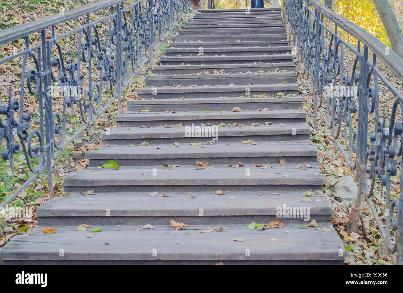 Un vieil escalier en bois menant vers le haut est couverte de feuilles jaune tombé. Banque D'Images