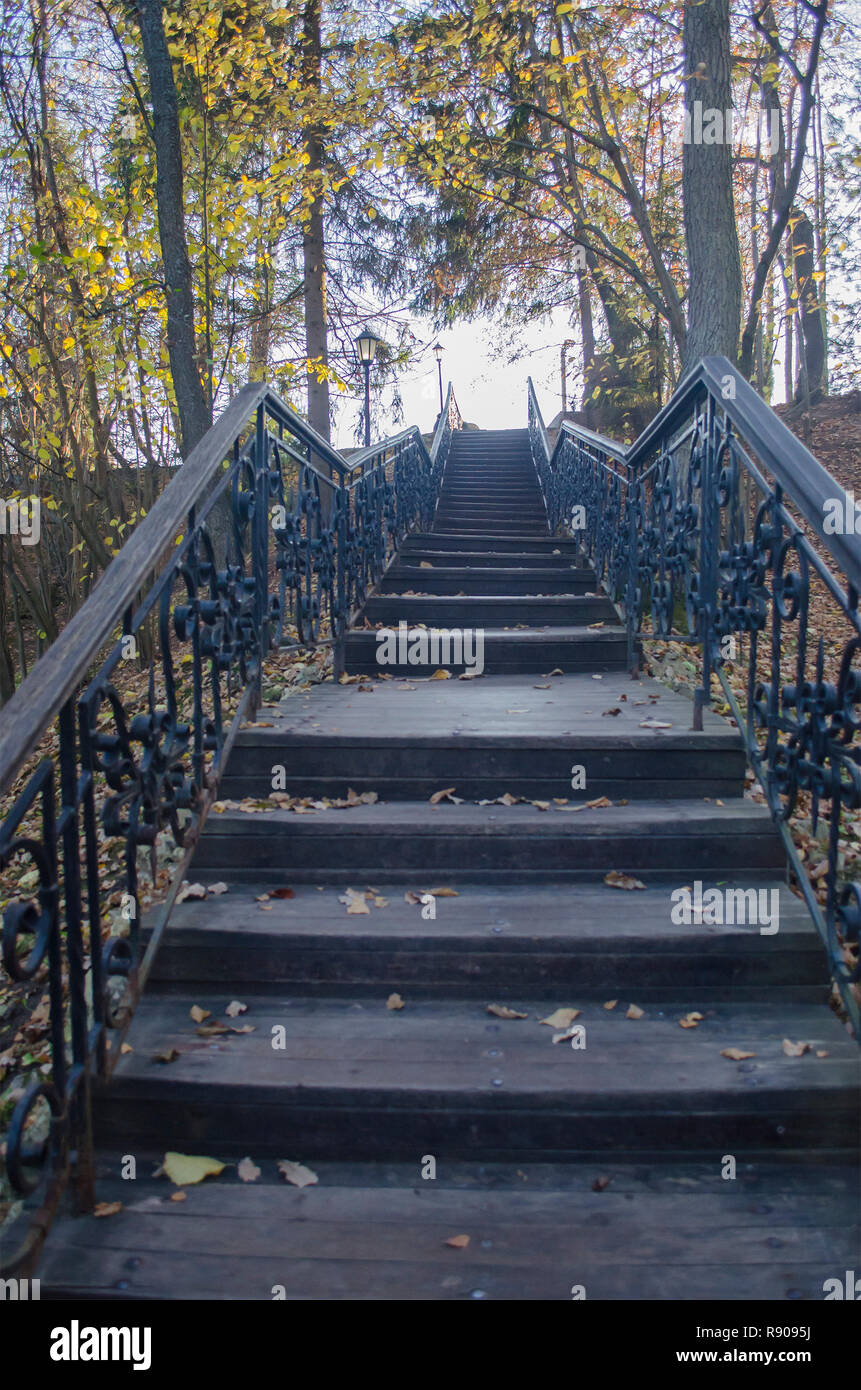 Un vieil escalier en bois menant vers le haut est couverte de feuilles jaune tombé. Photo verticale. Banque D'Images