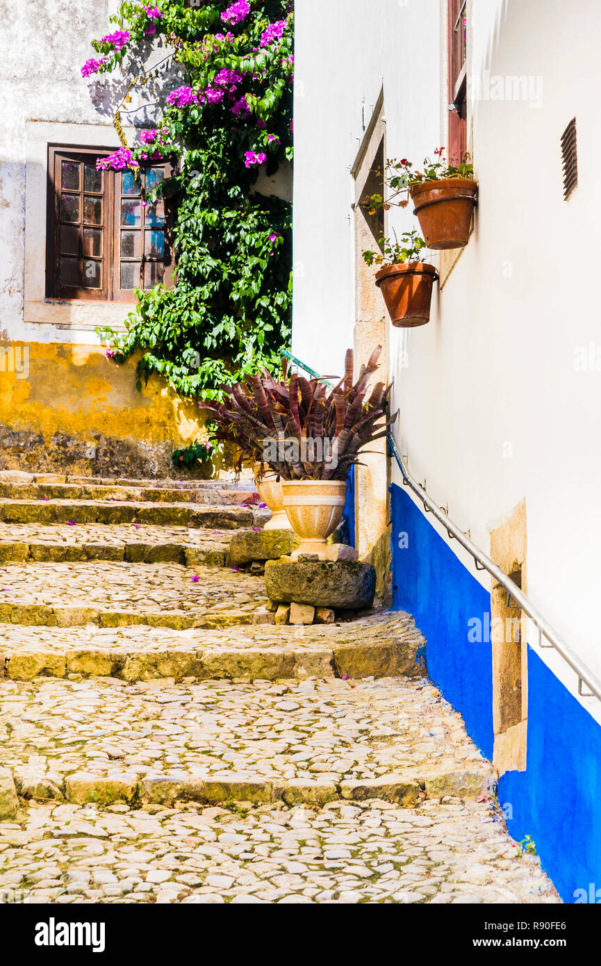 Escalier pavées pavées de pots Banque D'Images